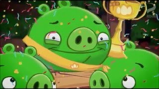 Angry Birds Злые птички - Свиньи таланты