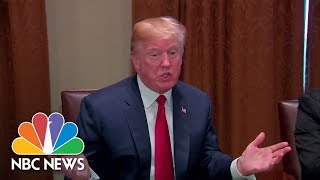 President Donald Trump: ‘I’d Love To See A Shutdown’ If Immigration Reform Not Passed | NBC News