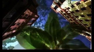 20. Влияет ли человек на климат? (эфир 21.08.2012)
