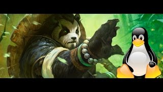 Установка русской озвучки DOTA 2 на Linux