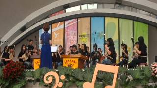 2013嘉義音樂藝術節-民族國小國樂演出