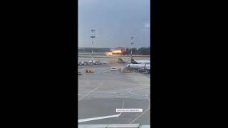 Жмых Airlines терпит крушения в Шереметьево