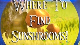 Where to find Sunshrooms ! Zelda botw
