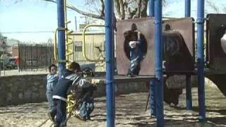 KiDS and the ENVIRONMENT part 2