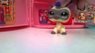 All my rare LPS