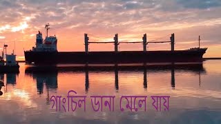 নাবিক তোমার ক্লান্ত মনে গাংচিল ডানা মেলে যায়  ।| NewBanglasong2020 || Sailing song ||