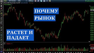 Покупатели и продавцы в тренде: Почему рынок растёт и падает