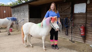 Woman Grooms Her Horses To Look Like Unicorns