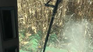 Combine Picking Corn