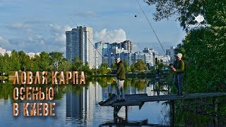 Поймали 70 кг карпа за 2 суток | Ловля карпа осенью в городе Киеве