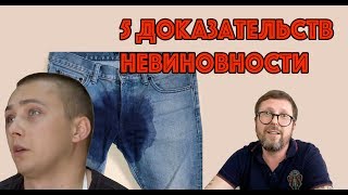 5 доказательств невиновности Стерненко