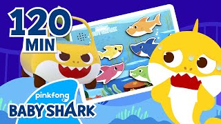 Baby Shark Toy, Sing Along, Hide'n Seek | +Compilation | BEST Baby Shark 2022 