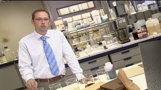 euronews innovation - Le résidu de canne à sucre comme alternative industrielle