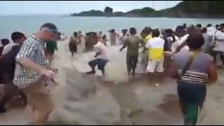 Mga dagkong isda ni dagsa sa baybayon sa Mindanao
