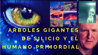 AVATAR:La película que muestra los arboles gigantes de silicio y los humanos primordiales