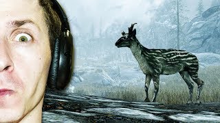 SKYRIM SE #284. Забытая долина