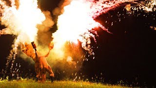 T REX ON THE 4TH OF JULY! (100+ ROMAN CANDLES AT ONCE)