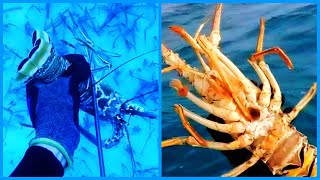 HOW TO CATCH A LOBSTER IN SEA
