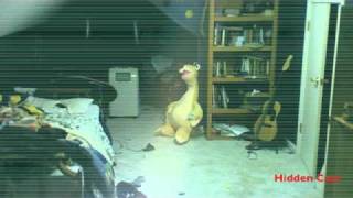 Hidden Cam