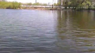 BoatMaster 300 + Suzuki DF 2.5