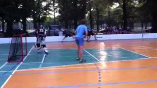 VFL 2011