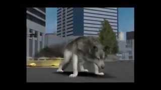 Vampire Bat Vs Gray Wolf, the 2nd