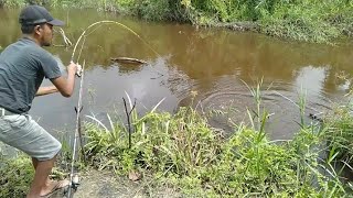 REJEKI MANCING DI AWAL TAHUN 2020..