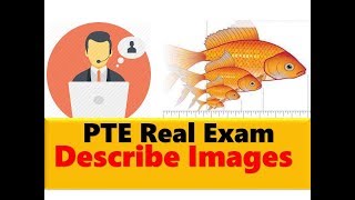 PTE Describe image Recent 100% REAL EXAM |with 90 scores responses|