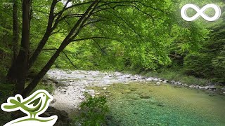 Beautiful Relaxing Music - Flute, Guitar & Piano Music with Birds Singing