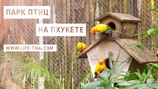 Съездили в парк птиц на Пхукете - место для детей и взрослых