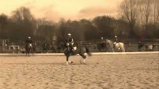Horse-Ball Mixte