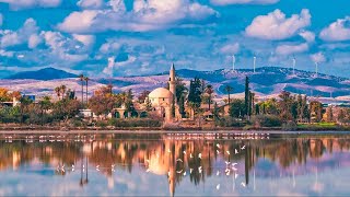 Сyprus things to do: Сyprus Larnaca Salt Lake and other