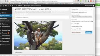 Создать сайт  Как создать сайт на wordpress с нуля  Самый крутой видео урок!