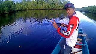 BUMBLEBEE SORONG PAPUA BARAT/TEAM BIA FISHING