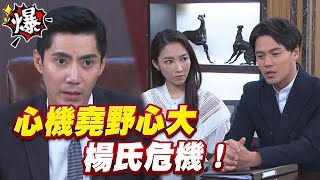 《多情大爆爆》多情城市 EP254 心機堯野心大 楊氏危機！