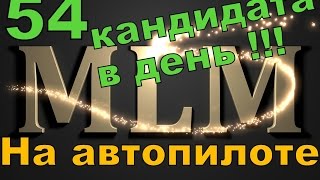 Сетевой бизнес в интернете. МЛМ на автопилоте через интернет. Сетевой маркетинг в интернете.
