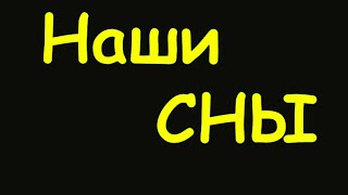 К чему снится медведь