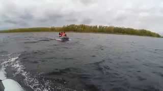 лодочный мотор 5 л.с. и 2.5 л.с.сравнение скорости