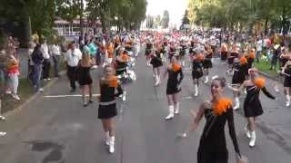Virágkarnevál 2014 - Military, felnőtt