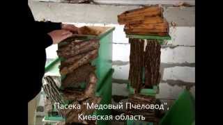 Ловля роев - ловушки для пчел. Часть1.