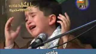 A Little Zakir