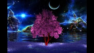 KOVSH***Eternity