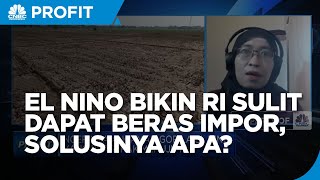 El Nino Bikin RI Kian Sulit Dapat Impor Beras, Apa Solusinya?