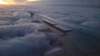 Airbus A319 S7 Airlines landing at Moscow DME  / А319 посадка в Домодедово