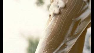 palmolive_naturals - Didier Canaux