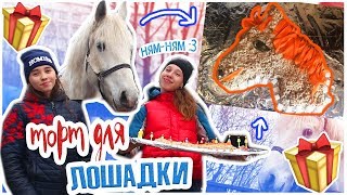 ?DIY: ТОРТ ДЛЯ ЛОШАДИ на ДЕНЬ РОЖДЕНИЯ / рецепт #MTkonoBLOG