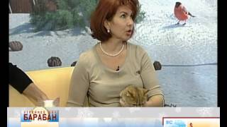 0103 - Гость Людмила Бостон (профессиональный заводчик кошек)