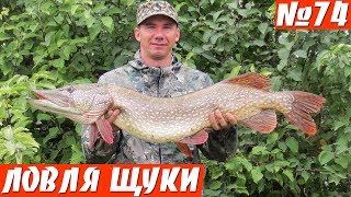 Такую рыбалку не забудешь! Ловля щуки осенью на спиннинг