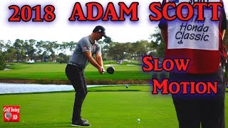 2018 ADAM SCOTT DTL SLOW MOTION DRIVER GOLF SWING 1080 HD