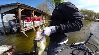 Miracle Big Fish Catch